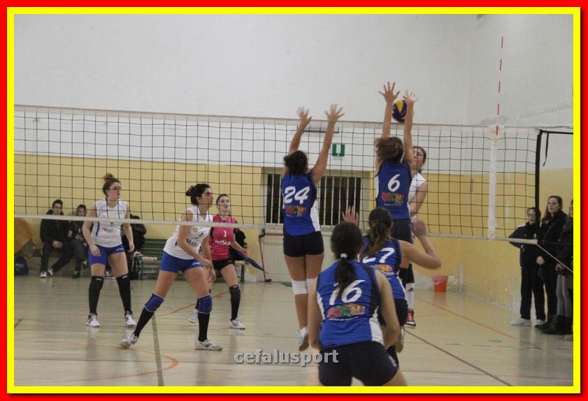 140305 Primula 138_tn.jpg